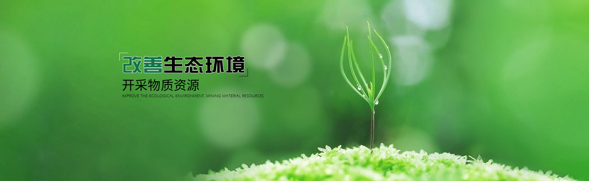 2O25管家婆一码一肖资料